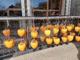 20251126_115437.jpgのサムネール画像