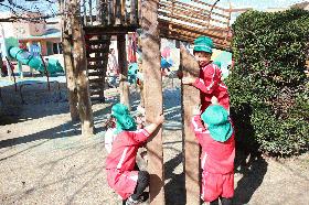 IMG_7263.JPGのサムネール画像