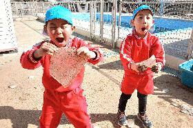 20260126_114206.jpgのサムネール画像