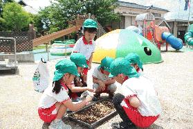 IMG_2428.JPGのサムネール画像